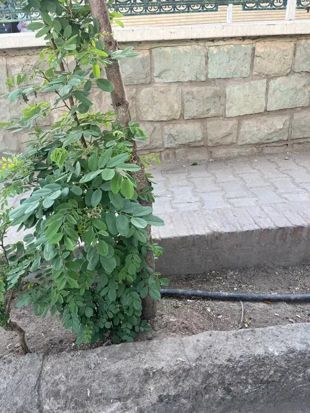 یک سهم فاز۳ نیرودریایی