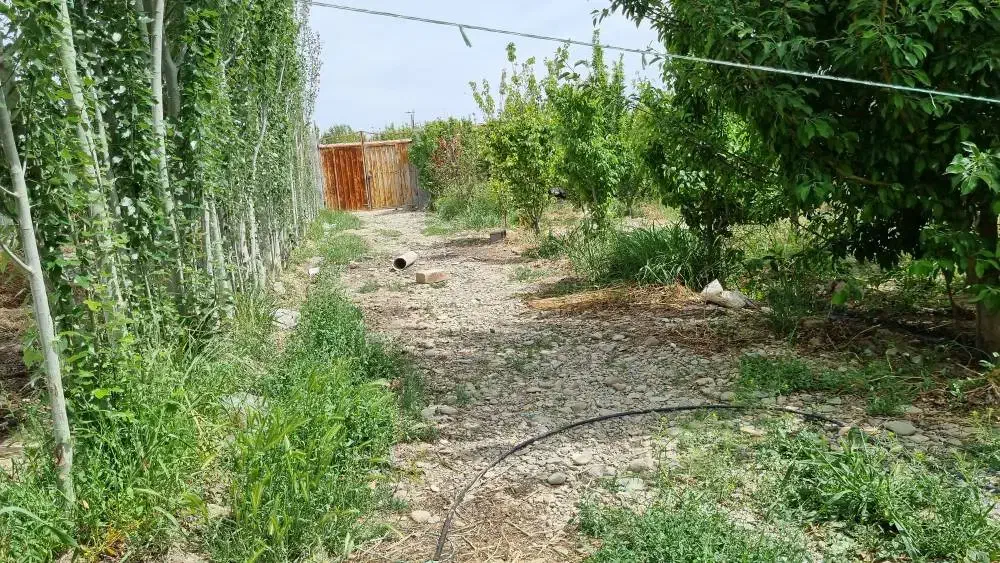 باغ باغچه ویلا چهاردیواری