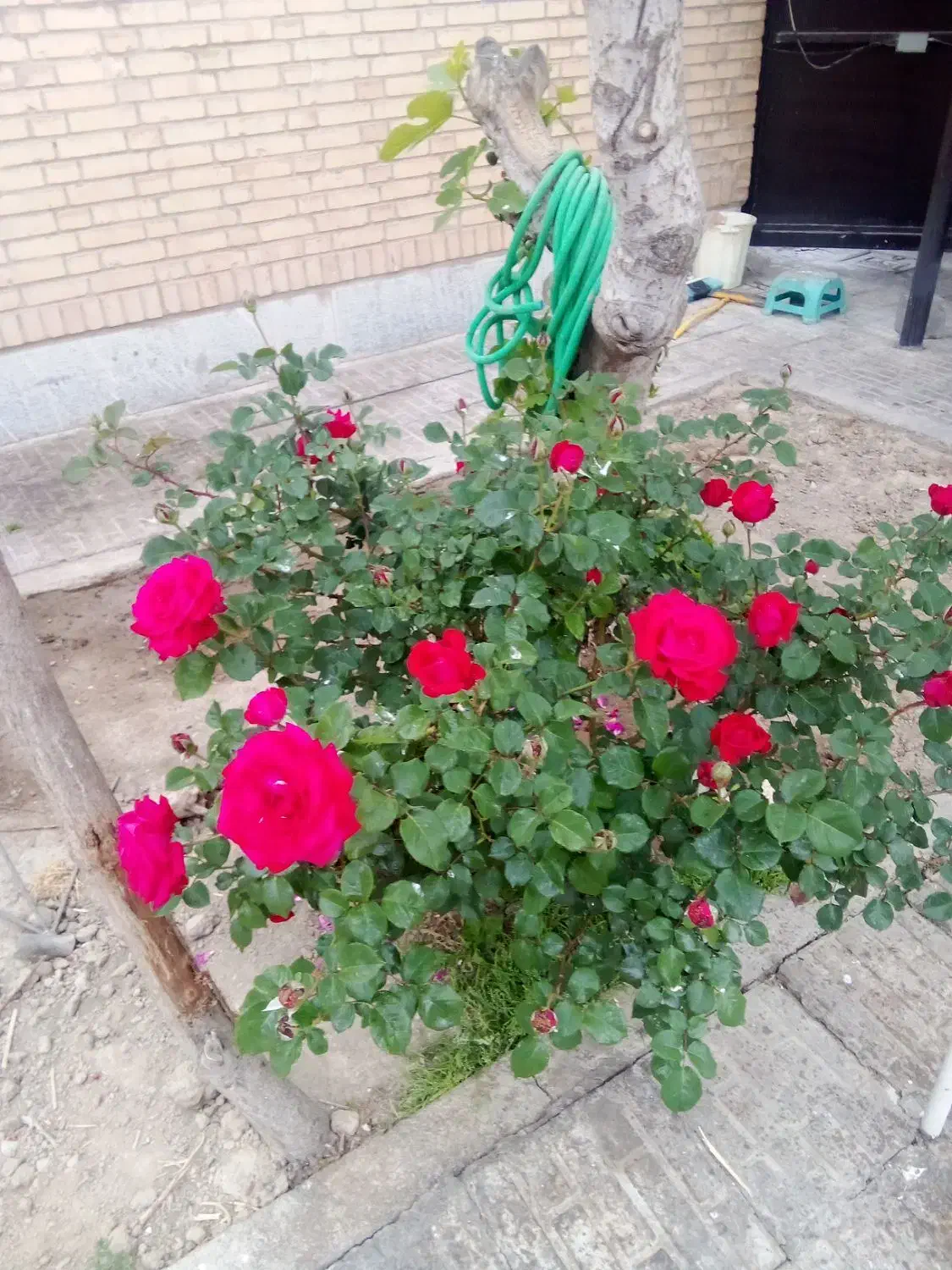 فروش منزل ویلایی نبش پارک