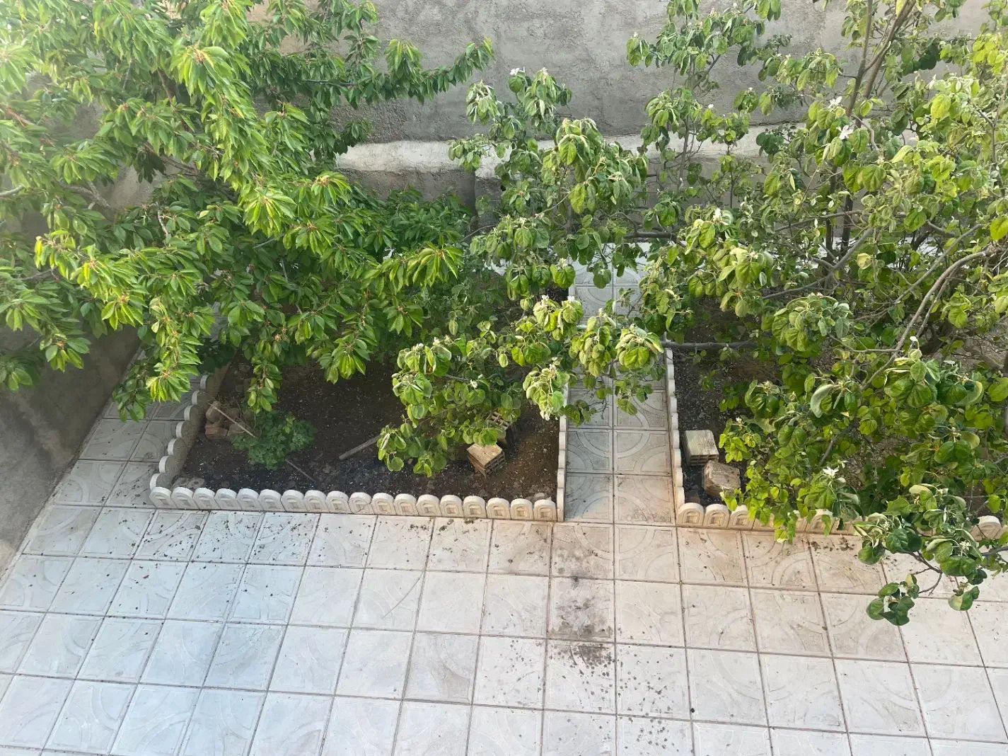 اجاره منزل مسکونی