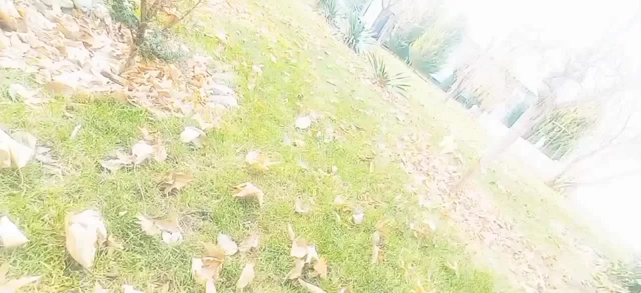 ۱۲۵۰مترلوکس،۲۲۰متربنا