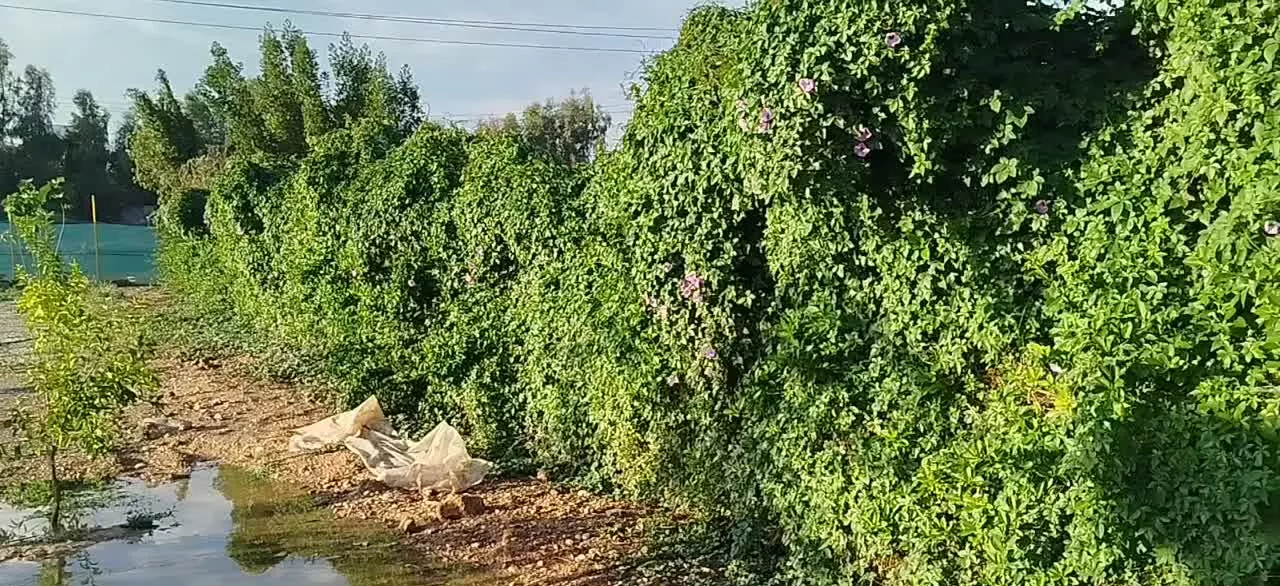 فروش زمین
