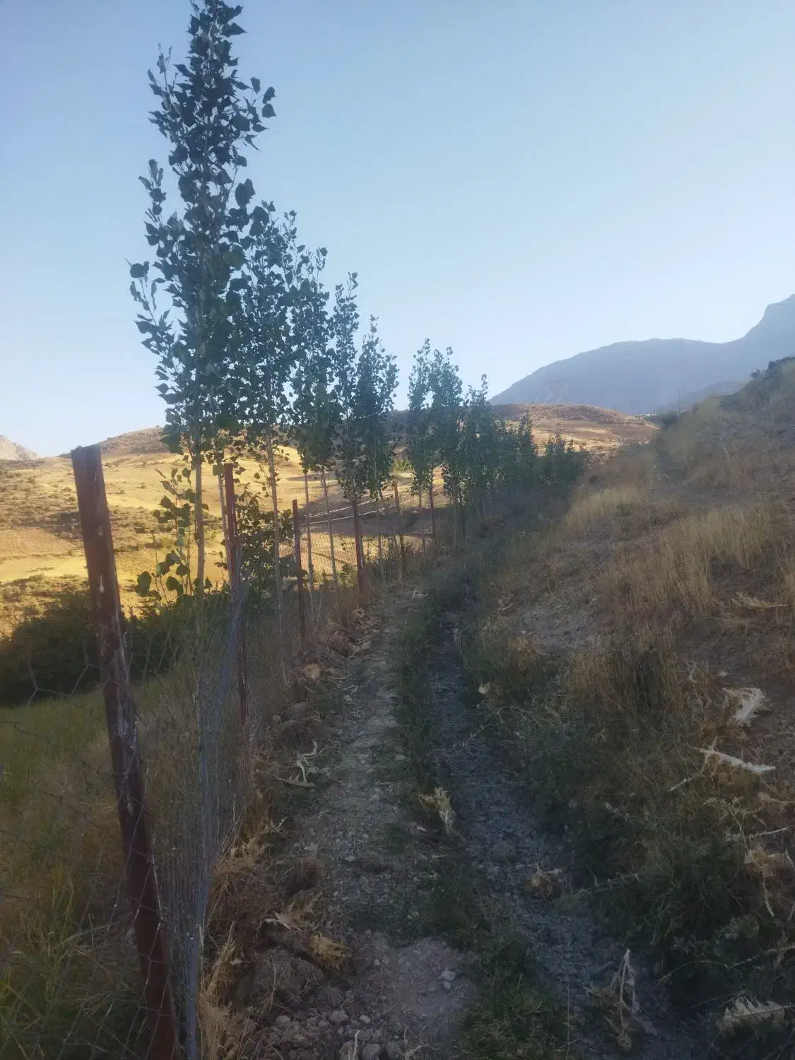 زمین چهاردیوواری شده