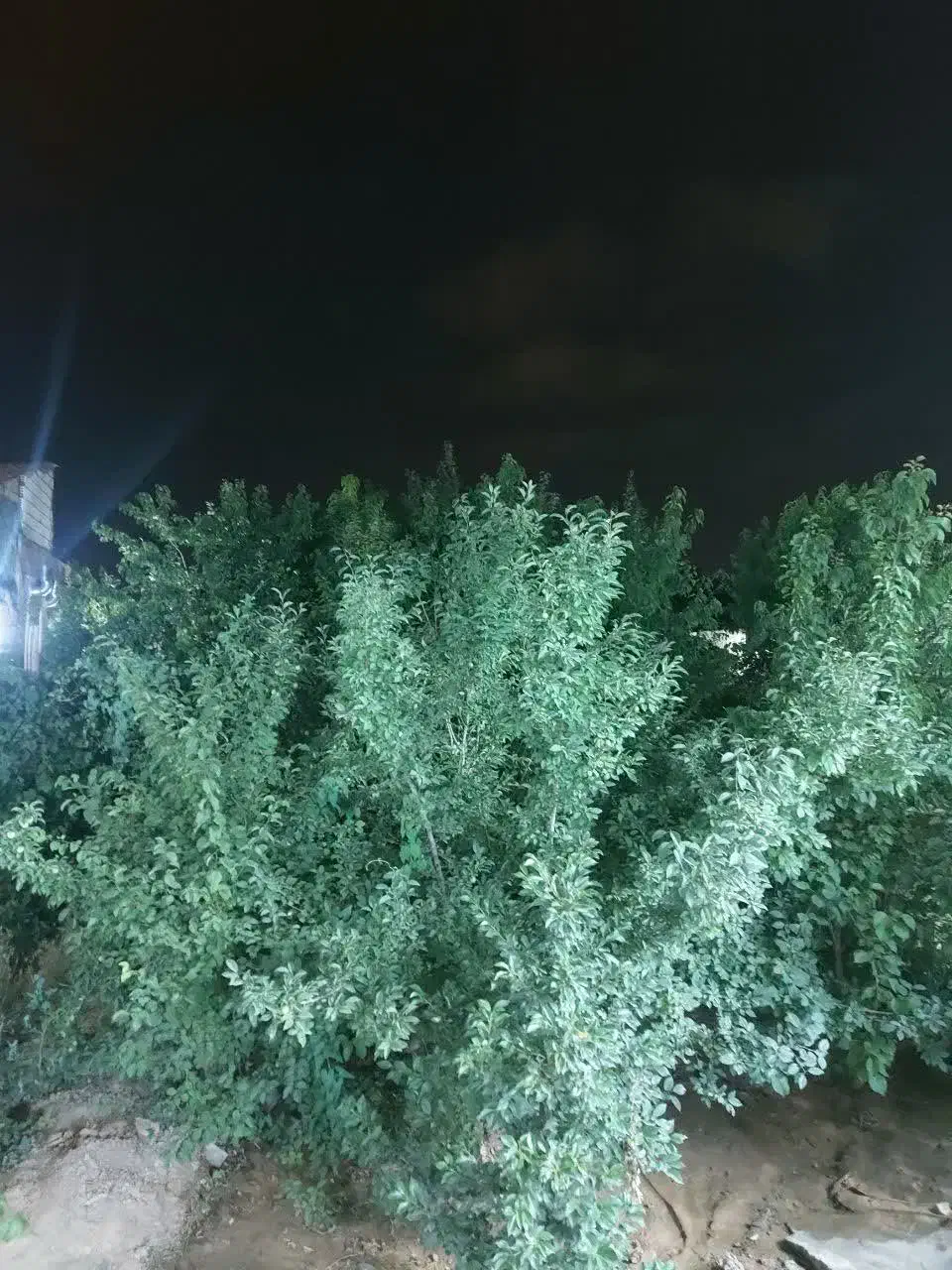 زمین 158متر شهرک مهدیه