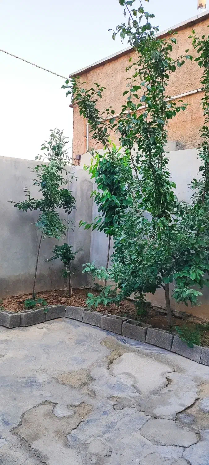 اجاره منزل مسکونی