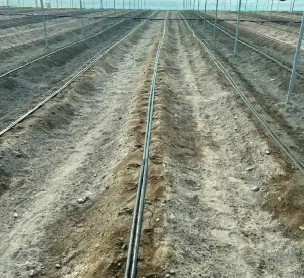 گلخونه