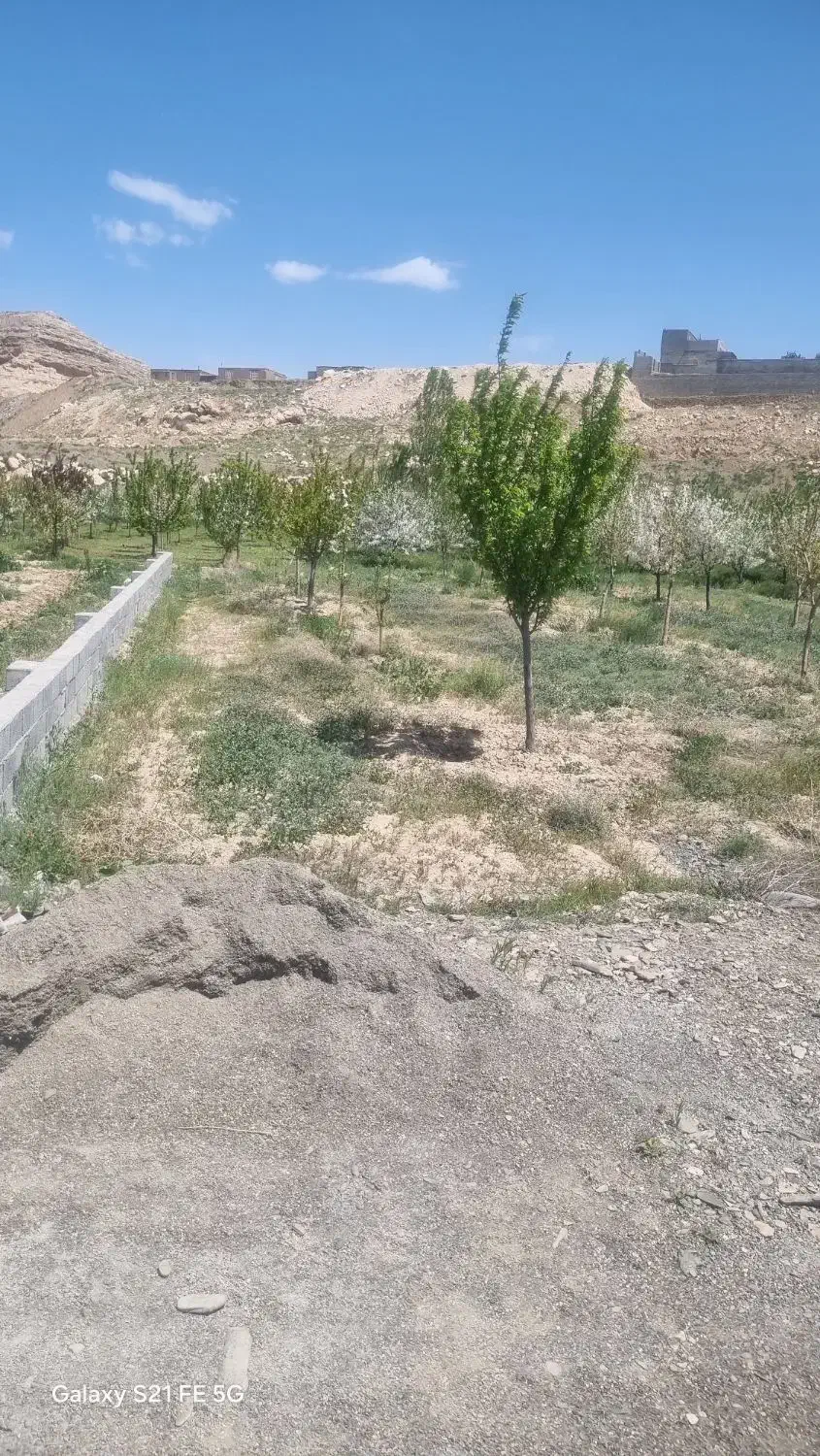 باغ ۱۰۰۰ متری خیج درختان بارده