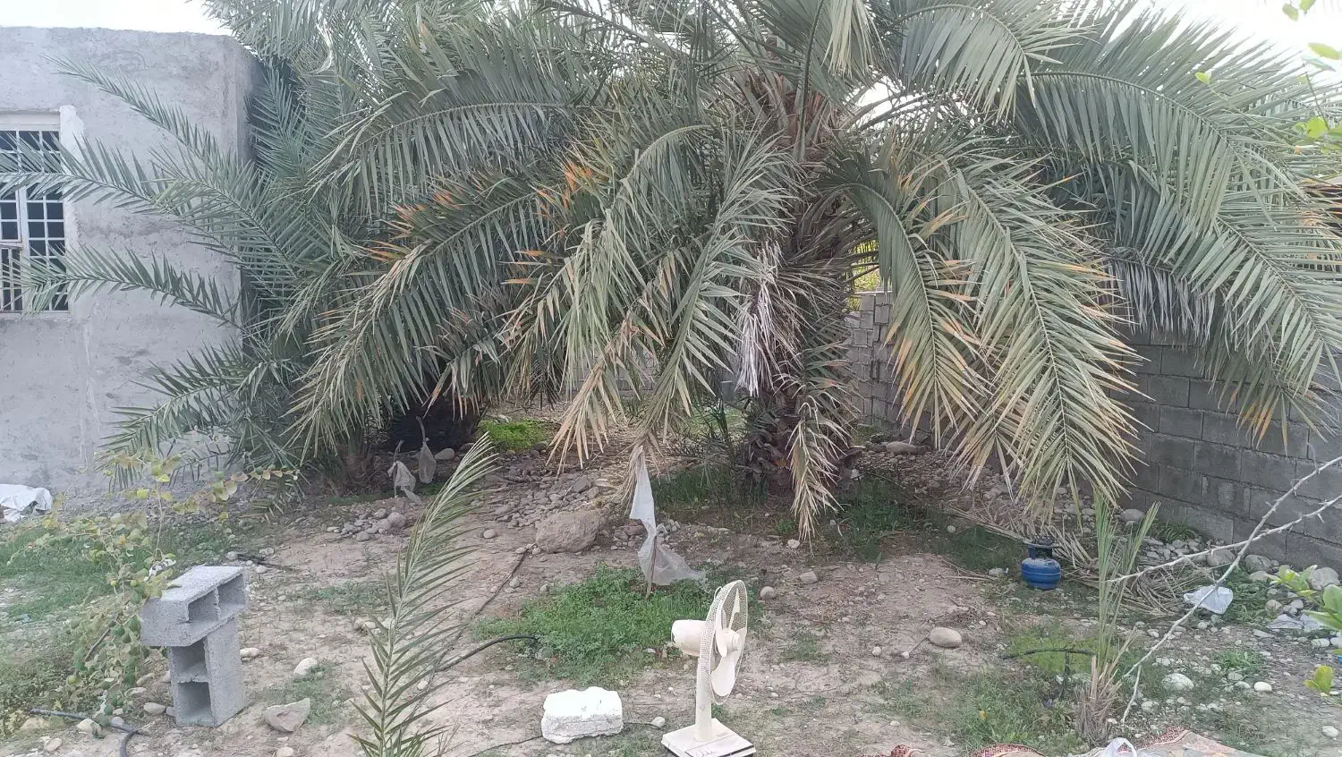 فروش زمین 500متری متر روستای مقسم