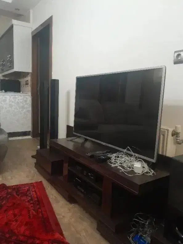 همخانه خانم