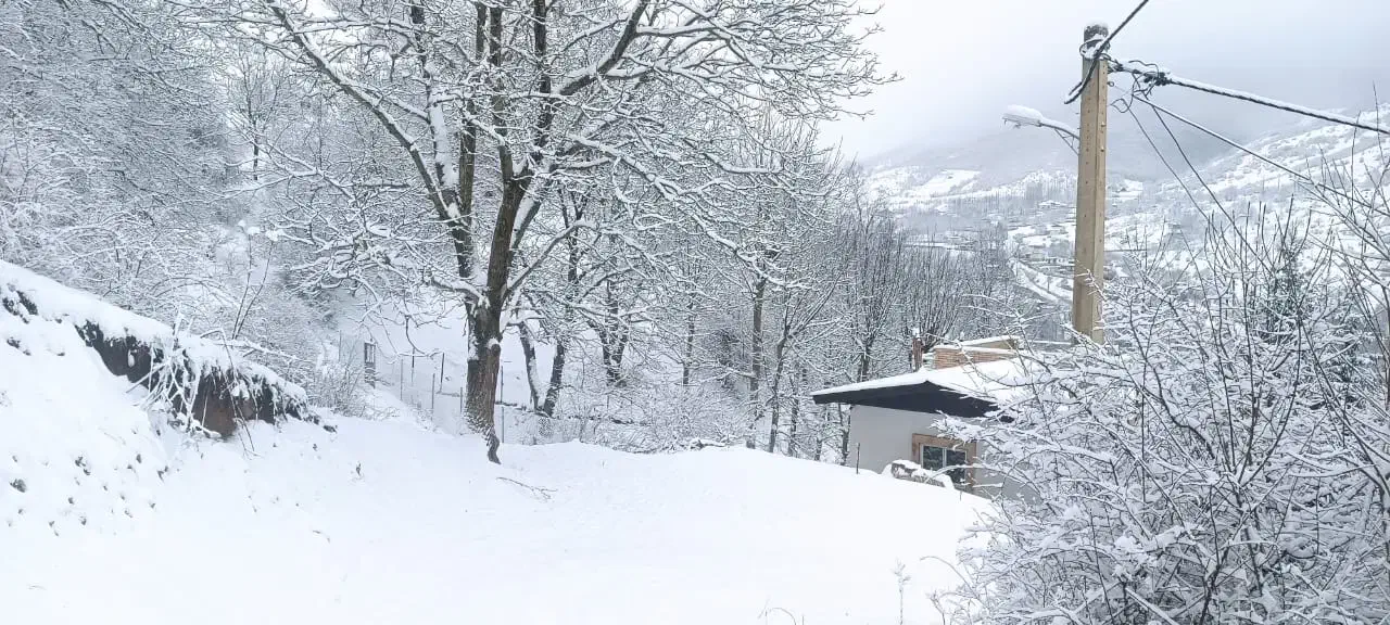 دو دهند مغازه بر خیابان اصلی