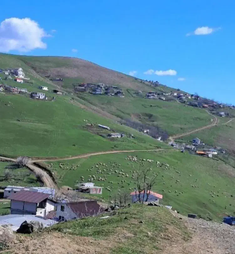 زمین برن ۱۲۰ متر
