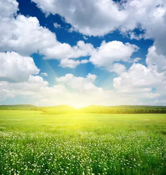 زمین باغ مناسب سرمایه گذاری