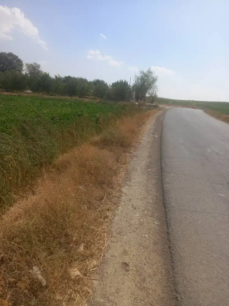 زمین مسکونی قابل ساخت  ناچیت