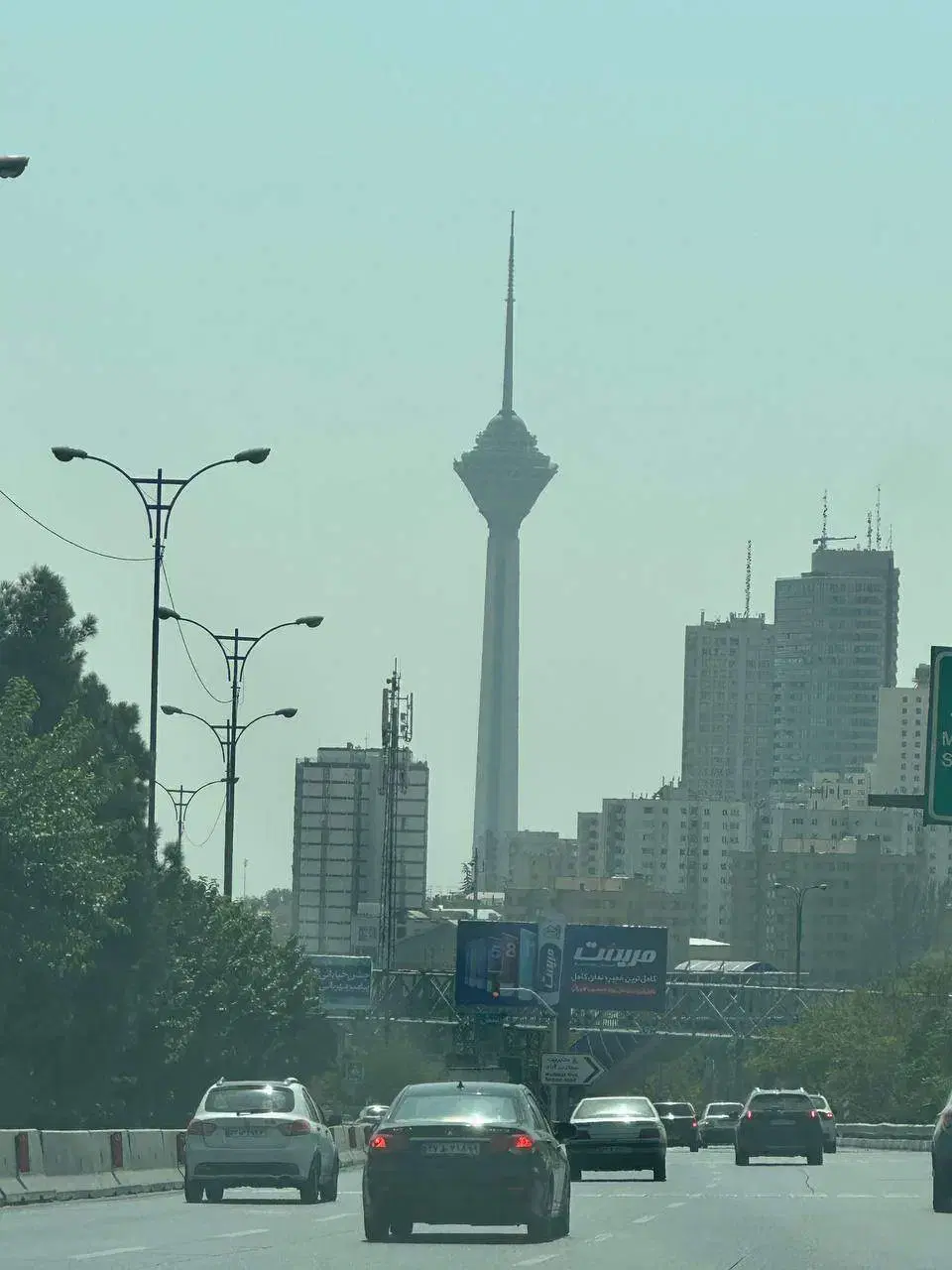 زمین باغی
