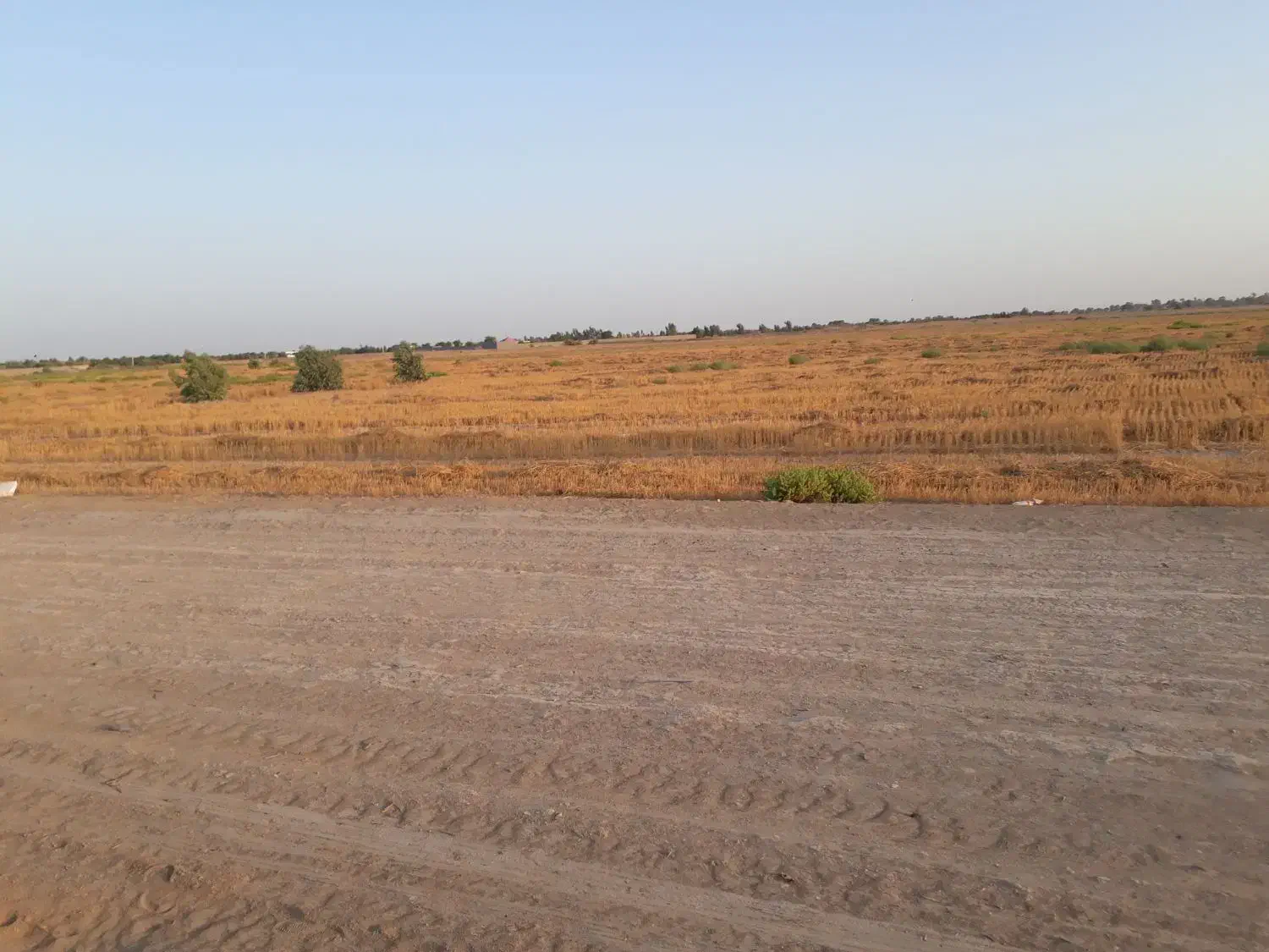 زمین کشاورزی