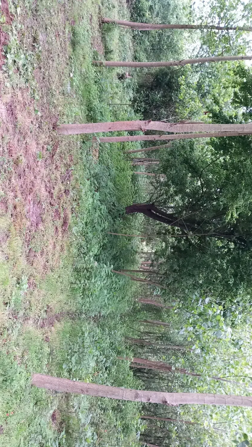 زمینی به مساحت ۴۰۰ متر