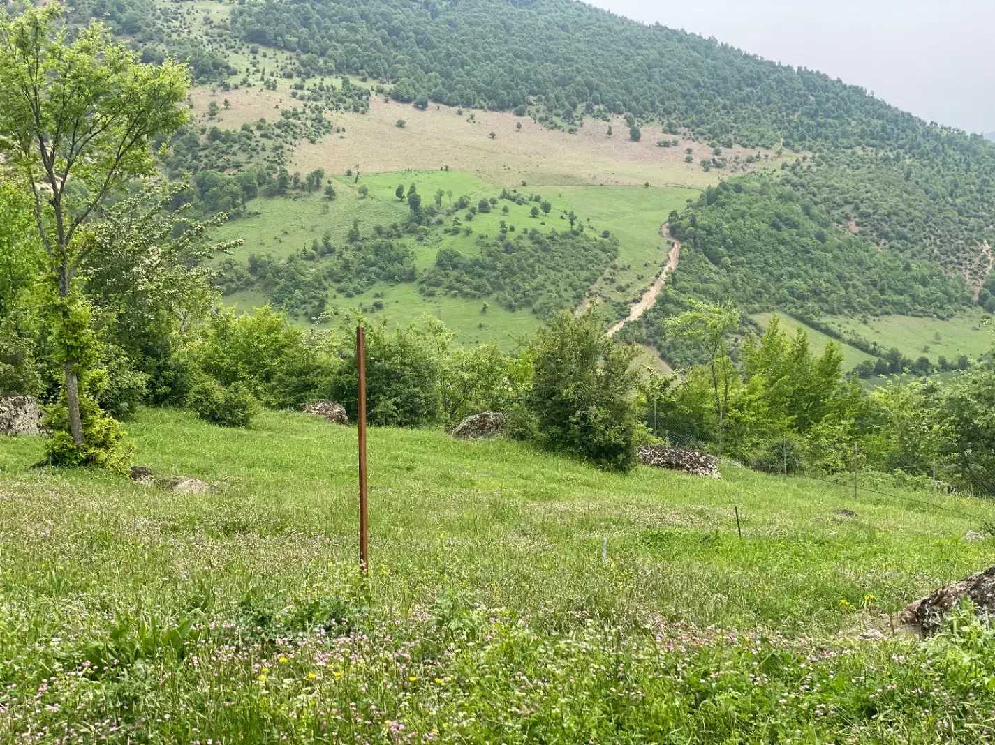 یک قطعه زمین در ییلاق مریان (تندبین مکش)
