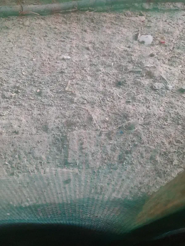 زمین باغ
