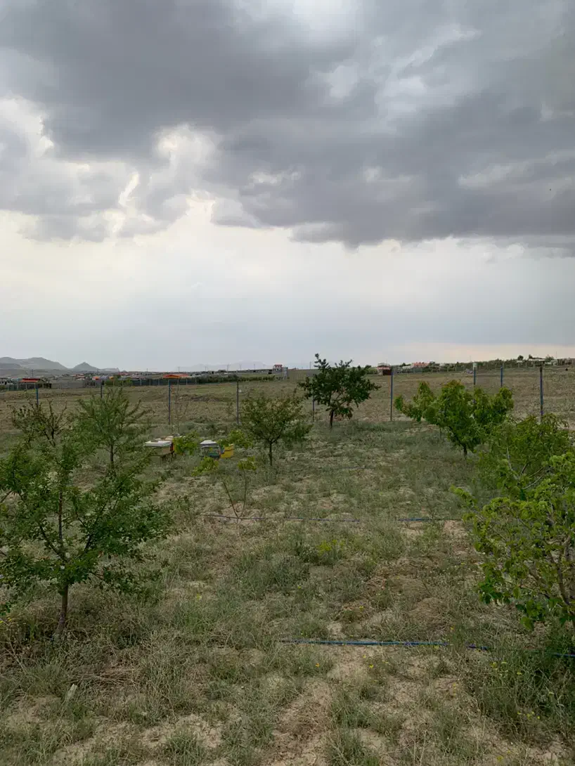 باغ ۱۵۰۰ در اسپیران