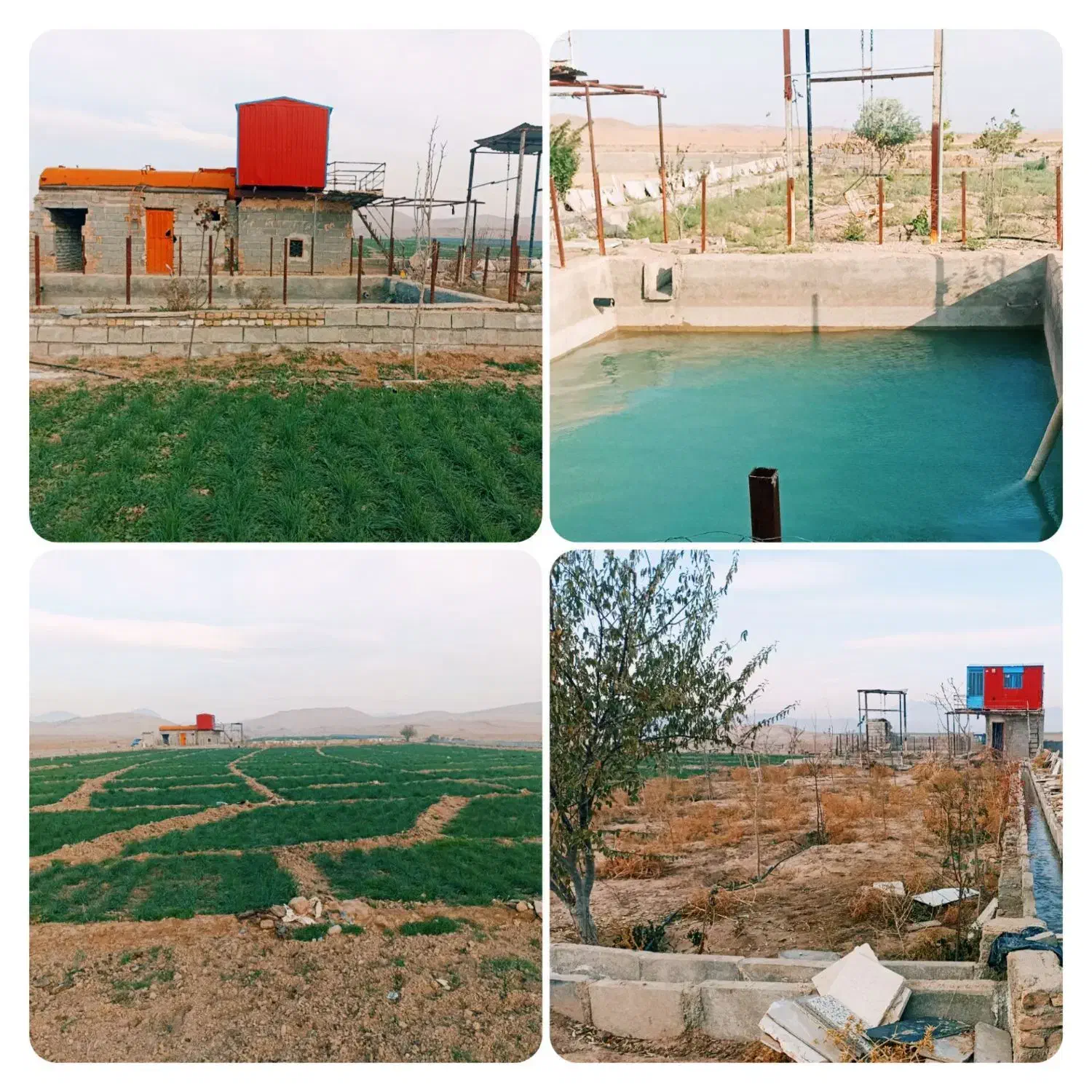 زمین کشاورزی
