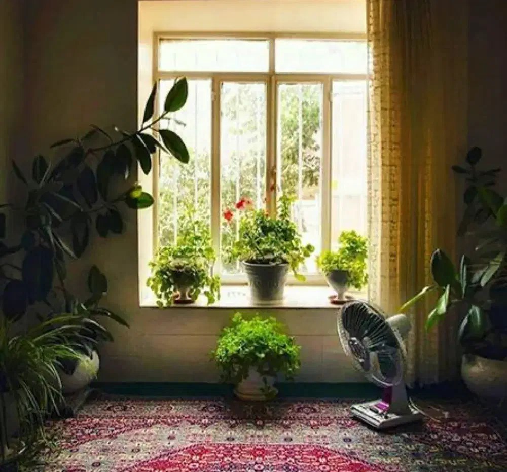 اجاره ۶۵ متری_خونه دربست