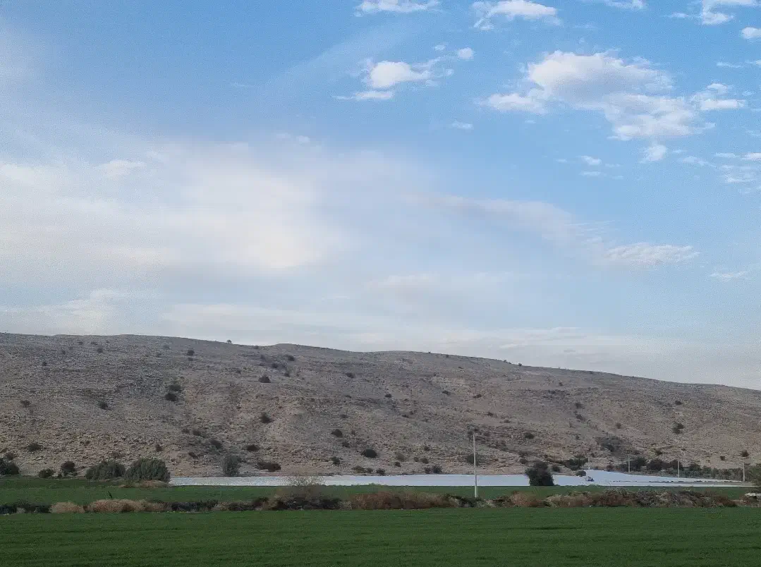 فروش ۲۵ هکتار زمین کشاورزی