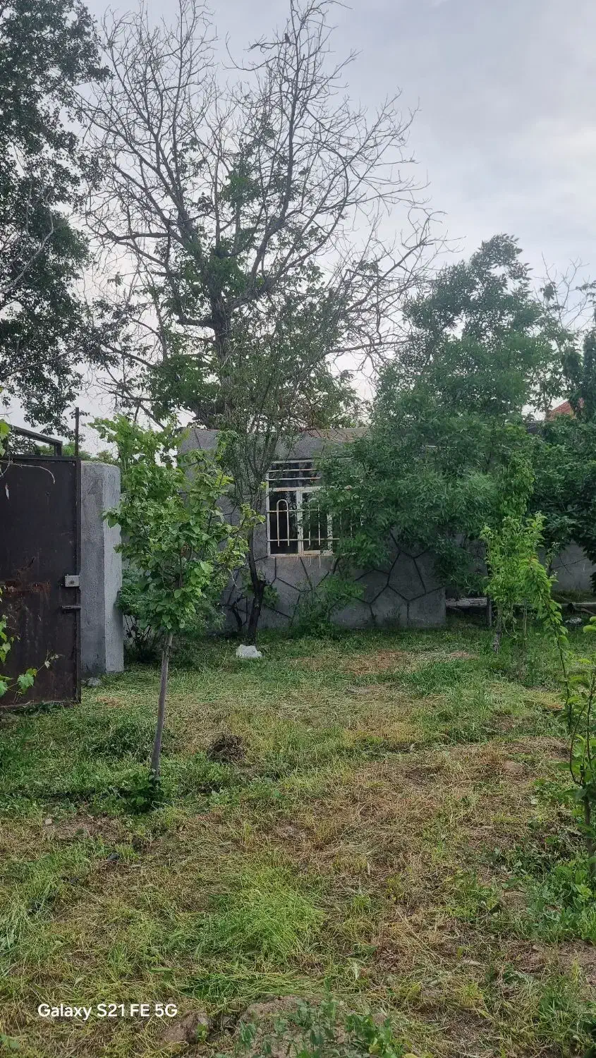 باغ در گلمکان