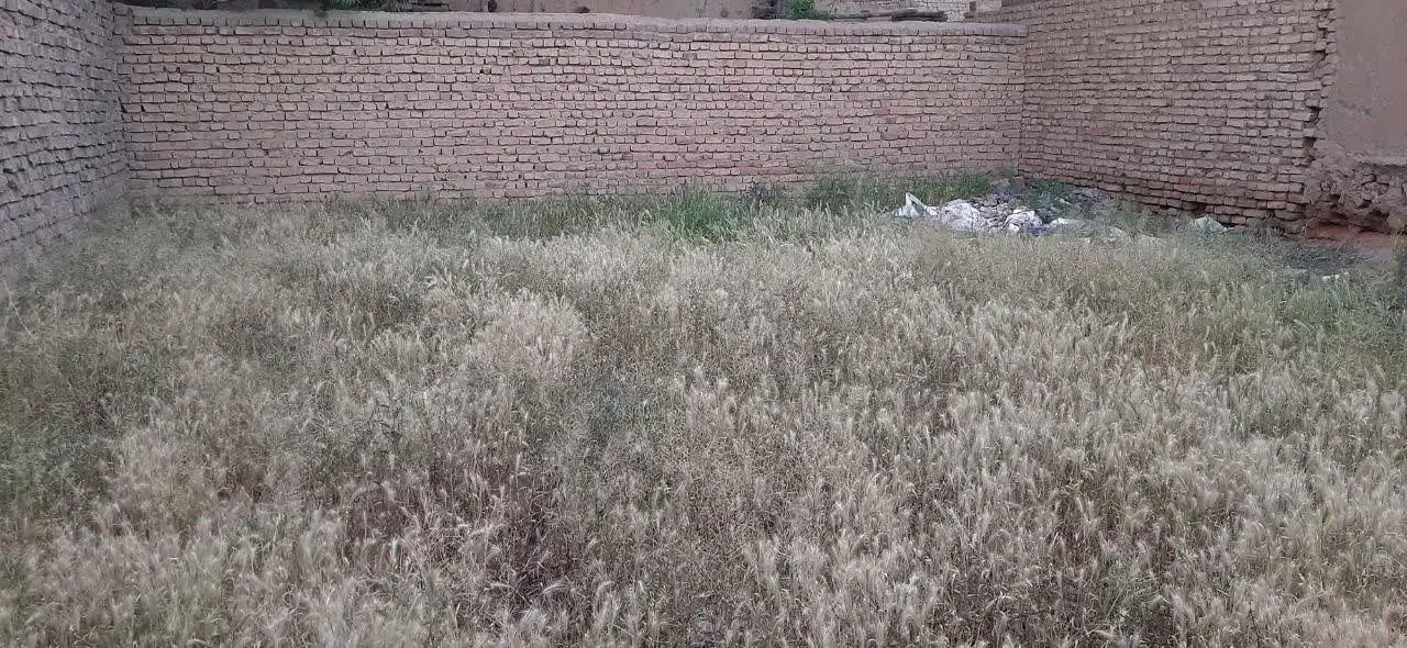فروش زمین کوچه گنجی