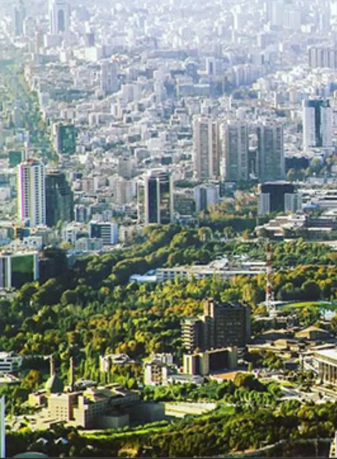 ولنجک فقط یک واحد به این قیمت