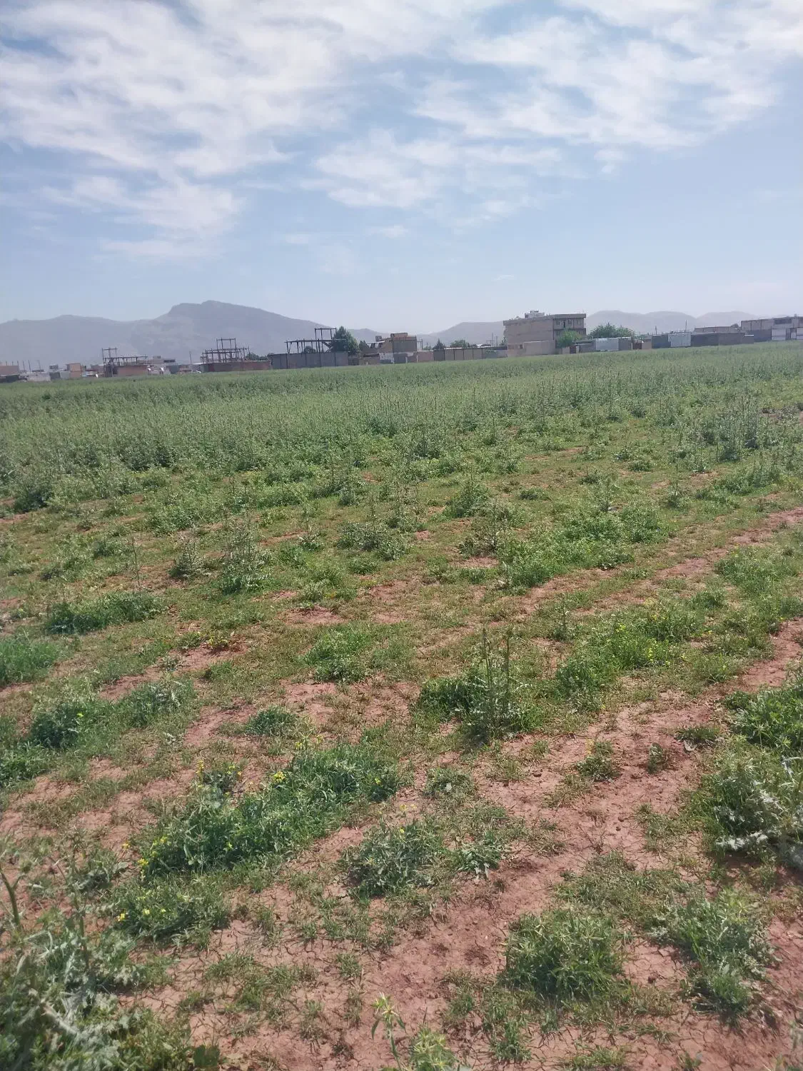 زمین تلوری افلاک ۲۶