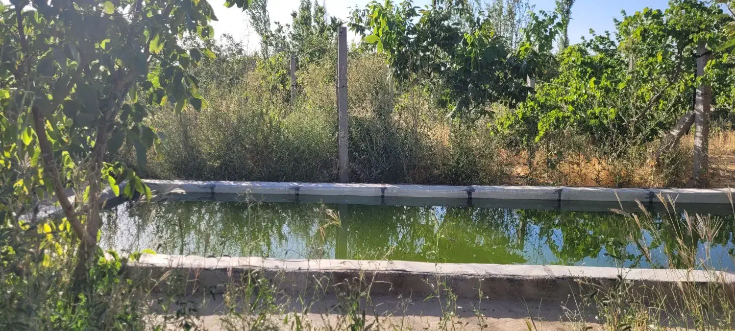 باغ