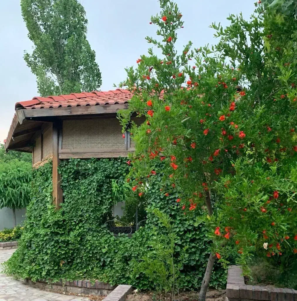 ۳۰قصب باغ ویلا سرآسیاب ۶ چترود