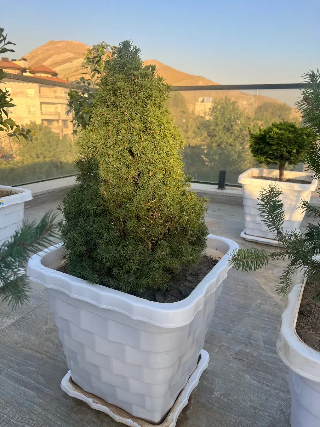 اجاره ویلا