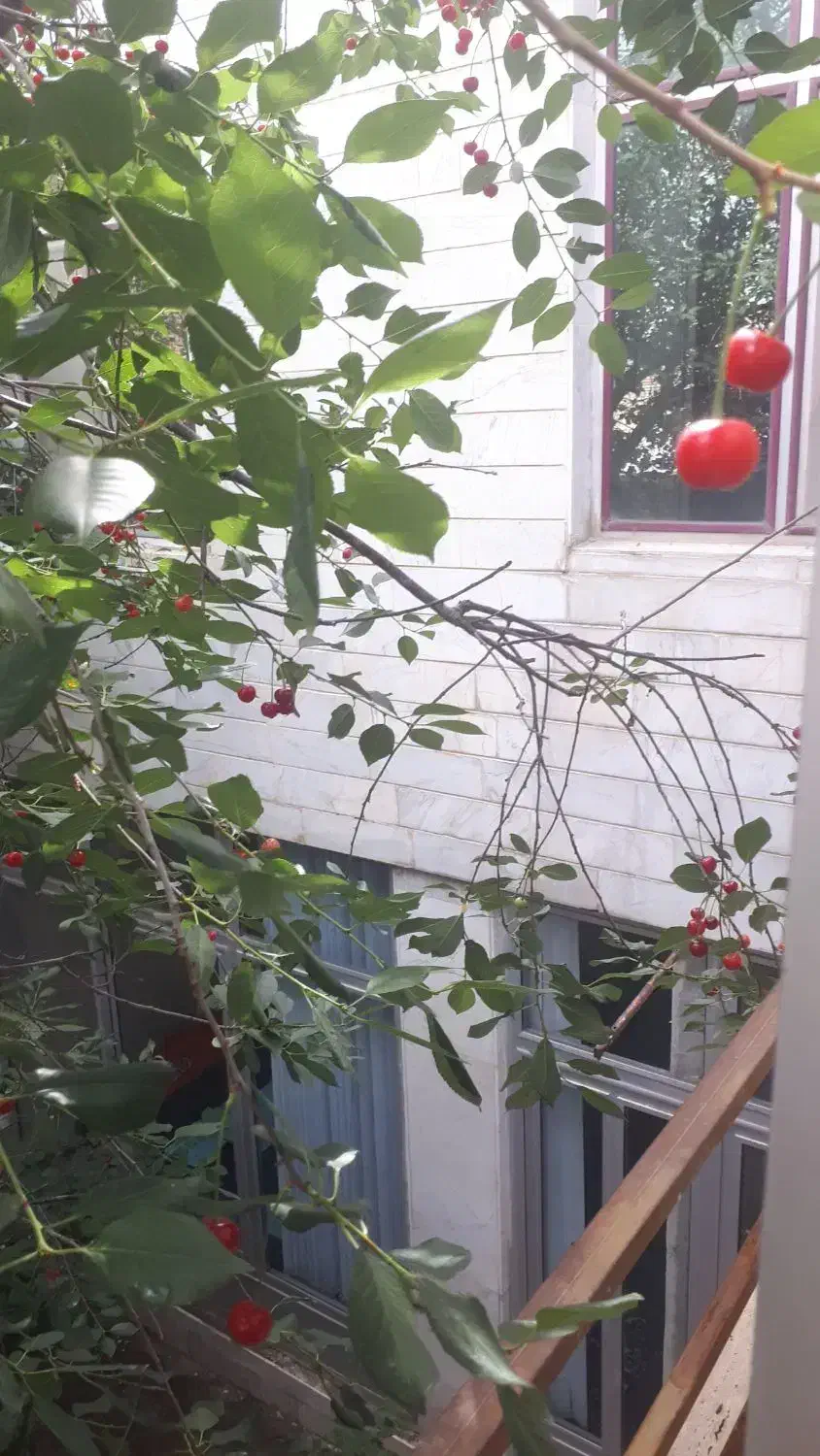 ویلایی فول دوطبقه هرطبقه ۱۵۰متر سه خواب با مغازه