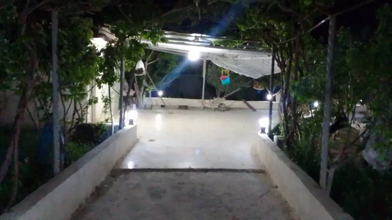 باغ