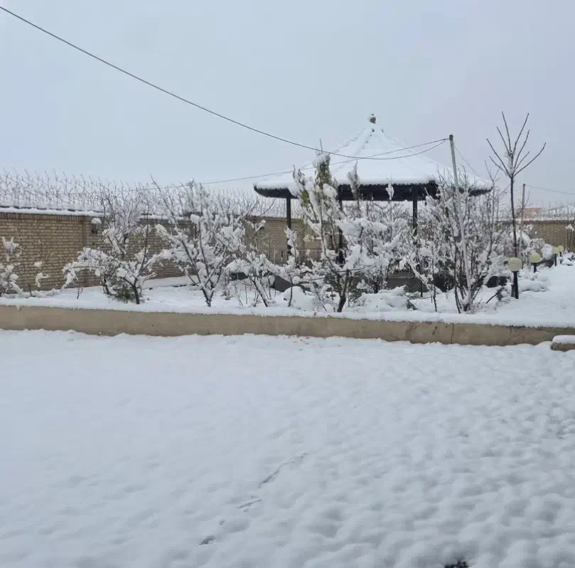 تهاتر و معاوضه