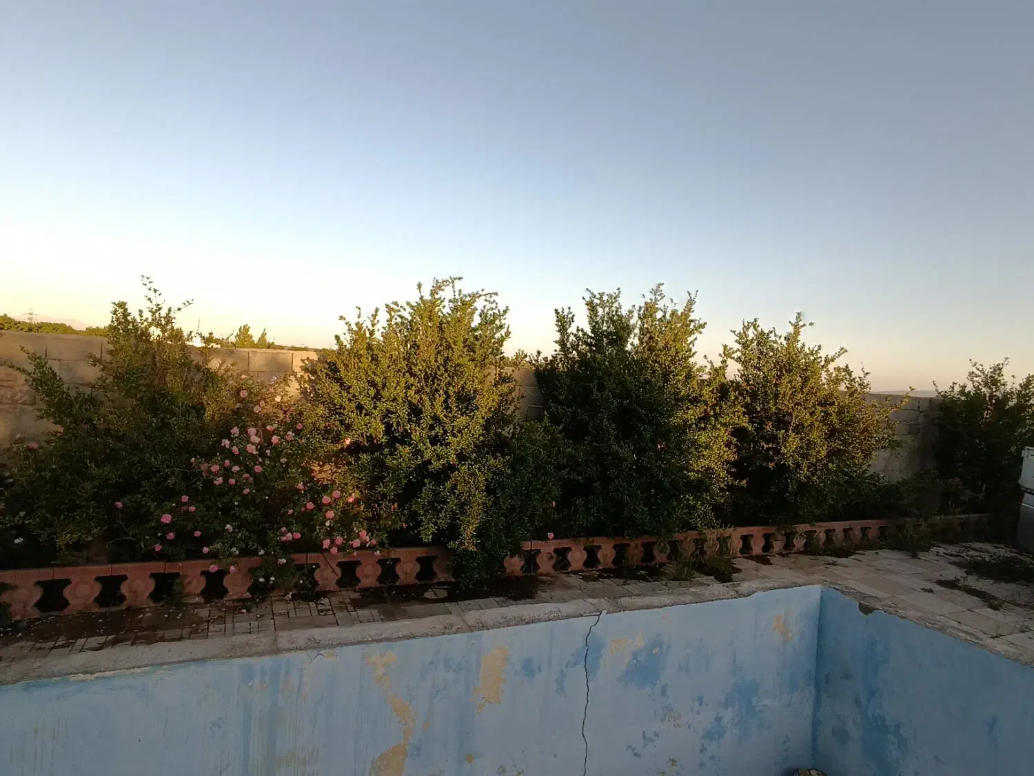 باغچه نقلی با دیوار قانونی
