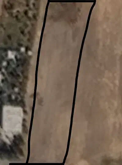 زمین  باغ
