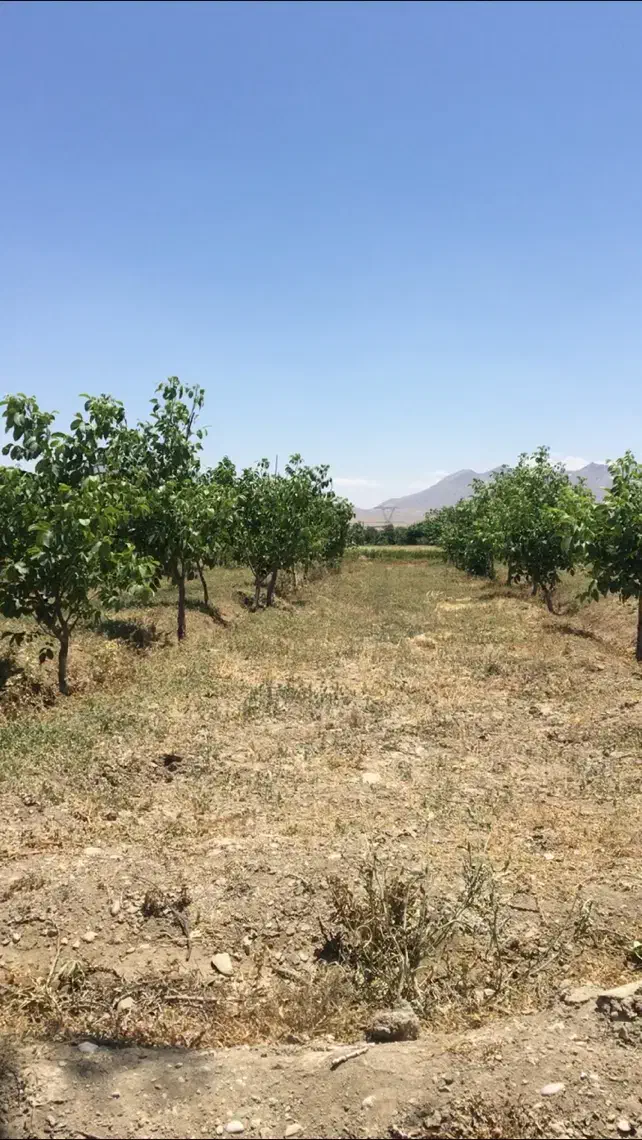 فروش باغ زمین