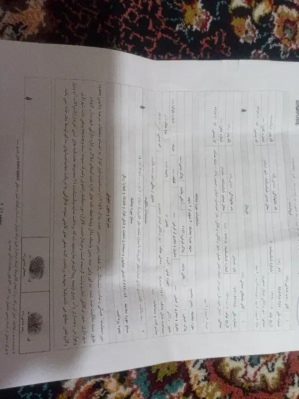 زمین مسک‌ونی
