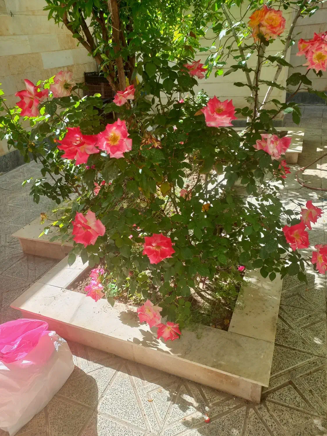 دوطبقه ویلای درکوثر دربست