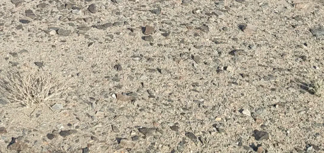 زمین فروشی حد فاصل نورآباد و خیرآباد(منزل آب)
