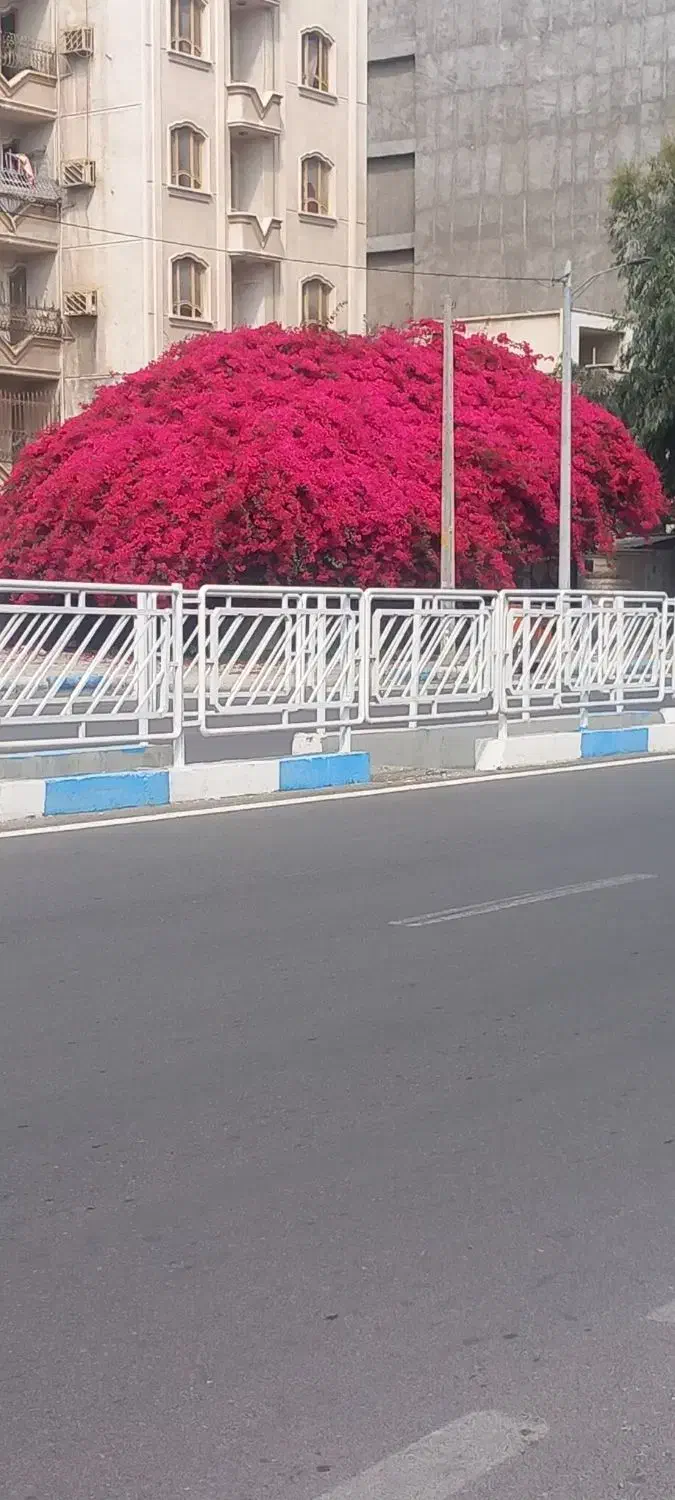 فروش ۳خواب با امکانات کامل۲۲بهمن