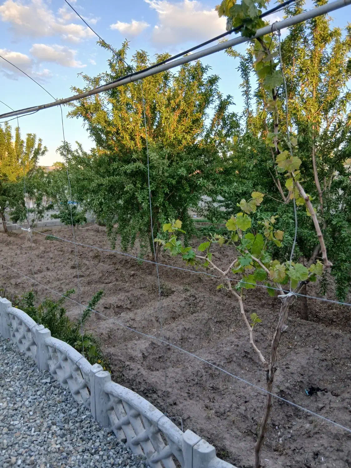 ویلا
