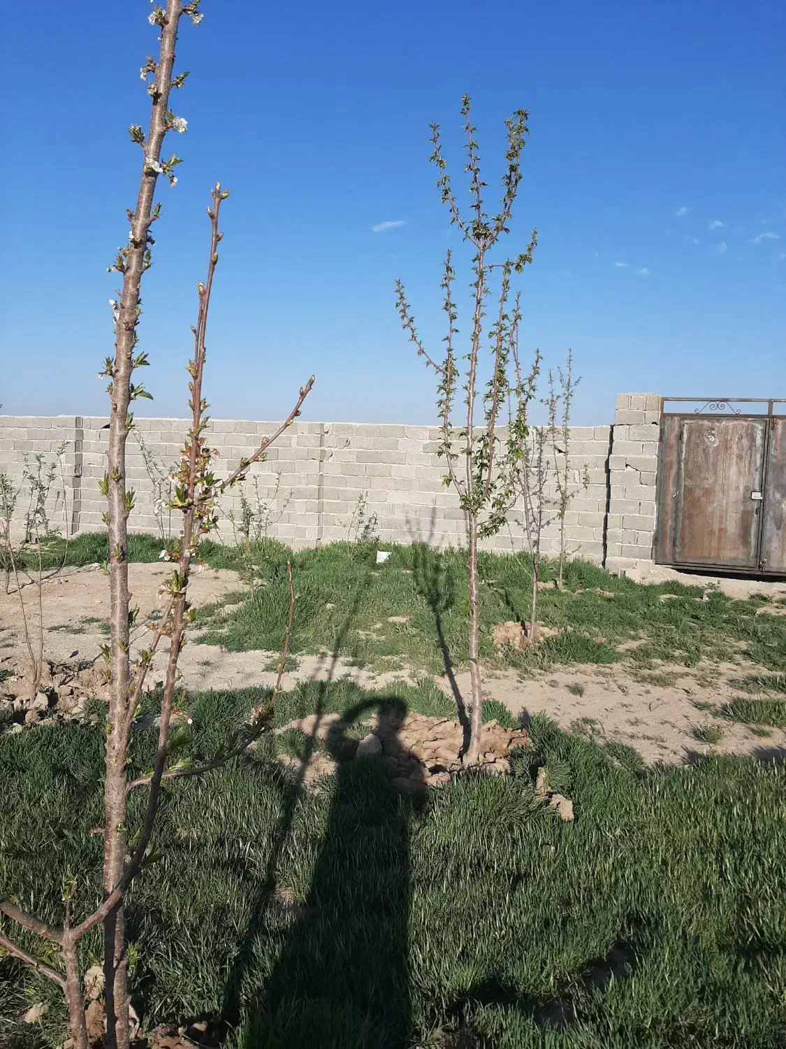 زمین چهار دیواری