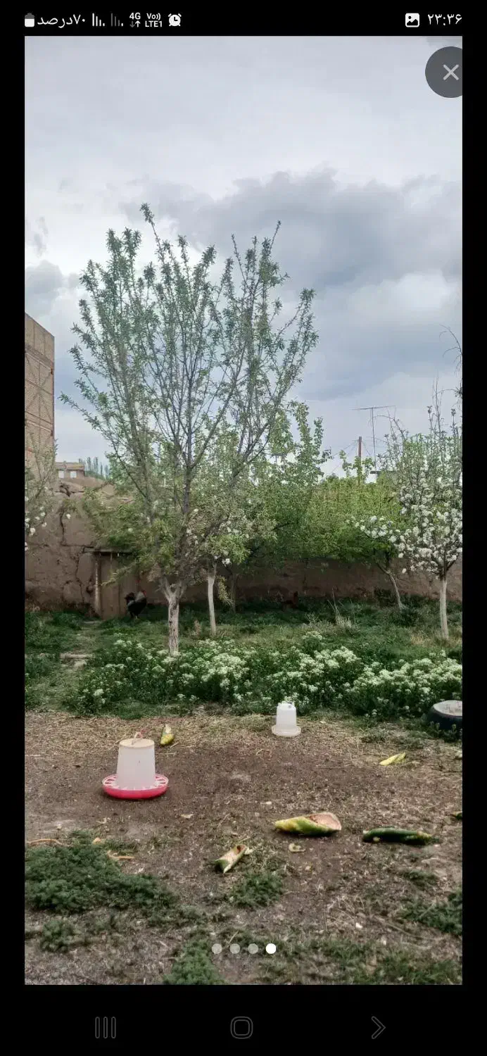 زمین مسکونی درچاوشقلی