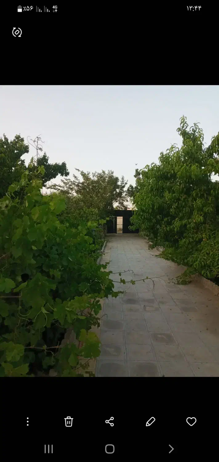 ۵۰۰متر باغچه سرسبز و اقتصادی بوستان ۱۶۹