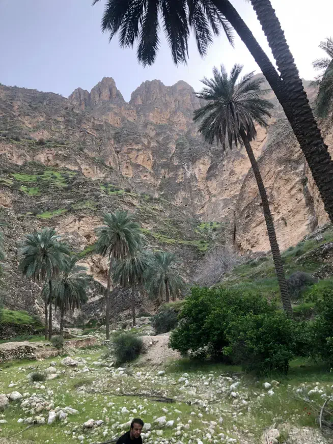فروش زمین خیابون مریم تنگک