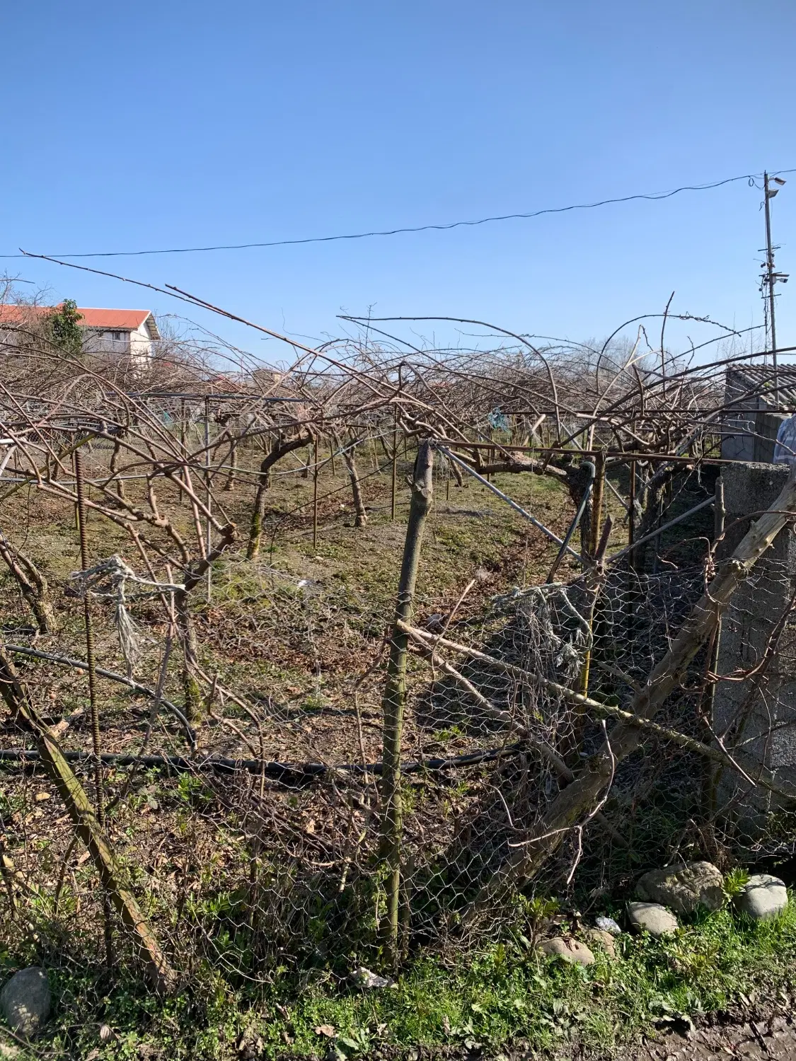 400مترسندتک برگ مسکونی ابتدای جاده ساحلی قروق