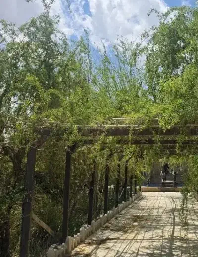 باغ ۸۰۰۰ متری